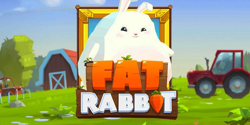 Fat-Rabbit