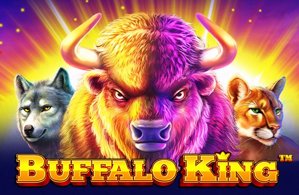 buffalo-king